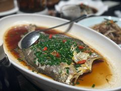 -浙C老邻舍(西城海错店)