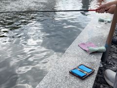 -DGE季风钓虾营地·团建·聚会