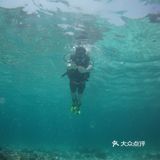 之前去普吉岛玩了一圈，美丽的沙滩，清澈湛蓝深绿的海水