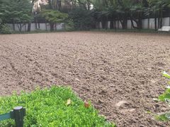 -上海宋庆龄故居纪念馆
