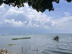 -洱海月湿地公园