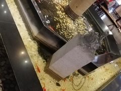 -老六杀猪菜(进乡街店)