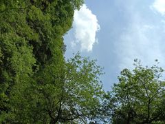 -石台牯牛降景区