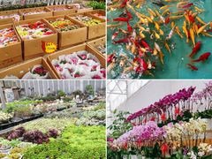 -西北轻工批发市场