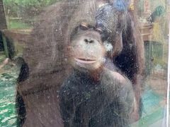 -泉州海丝野生动物世界