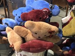 -济州岛泰迪熊博物馆