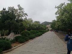 -府君山公园