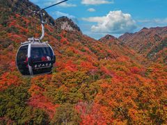 -光雾山旅游景区