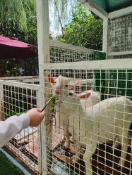 -可可天空农场(中大店)