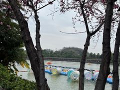 -枫香湖儿童公园