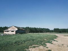 -塞罕坝国家级自然保护区