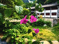 -雁荡山风景名胜区