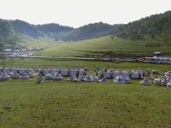 -关山草原