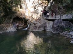 -九龙江国家森林公园