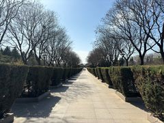 -中国人民抗日战争纪念雕塑园