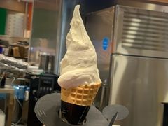 -野人先生Gelato(上海长宁龙之梦店)