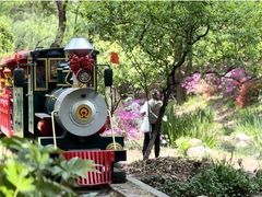 -上海共青森林公园