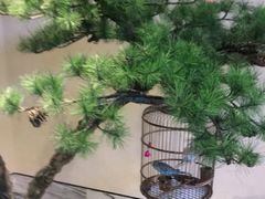 -小厨娘淮扬菜(六合欢乐港店)