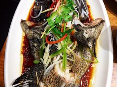 -必点海鲜·鲅鱼水饺(鞍山西道店)