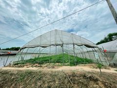 -武汉开心果园农业发展有限公司