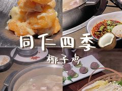 -同仁四季椰子鸡(宝安壹方城店)