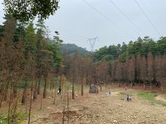 -广州市帽峰山景区