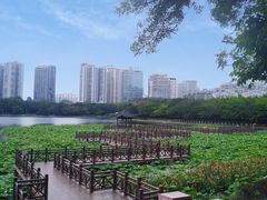 -南宁南湖公园