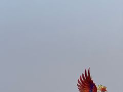 -厦门园林博览苑