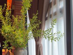-泰合玺·精油疗愈SPA(狮山天街生活广场店)
