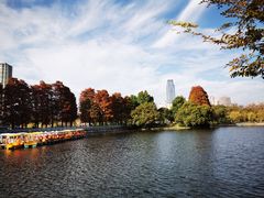 -东山湖公园