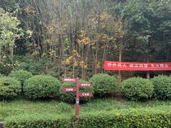 -桃花岭景区
