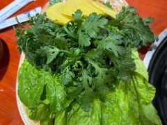 -菌之家·专业纯野生菌火锅·特色炒菌