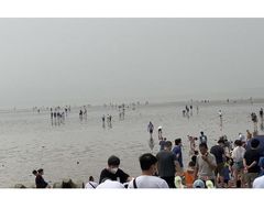 -南汇嘴观海公园