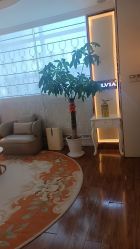 -茜尔维亚修身连锁(庆春银泰店)