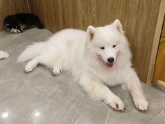 -和它·交个朋友·狗咖猫咖(爱琴海店)