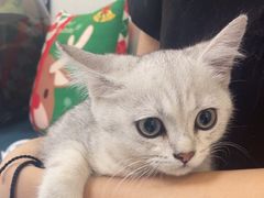 -美联众合动物医院·24h京西诊疗中心