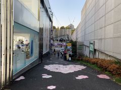 -梨大女人街