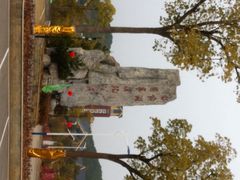 鄱阳湖国家湿地公园-鄱阳湖国家湿地公园