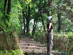 -广州白江湖森林公园