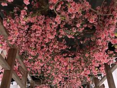 大堂-花千醉(新街口店)