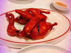 -新雅粤菜馆(南京东路店)