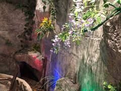 -老湘亲·品鉴湘菜(湖里店)