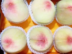 -老袁家蜜桃农场·阳山水蜜桃