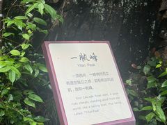 -刘伯温故里景区百丈漈