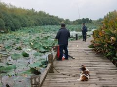 -艾溪湖湿地公园