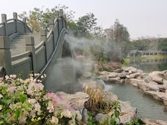 -四海公园(南山区)