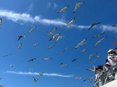 -海驴岛(荣成市)