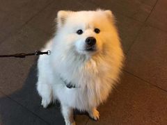 -桥馫源蒙自过桥米线(蒙自店)