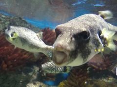 -福州罗源湾海洋世界旅游区