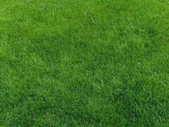 -庄老幺火锅(娄山关路店)